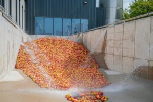 Finished production infrastructure in use, cleaning apples ready to create cider at Healey's Cider Farm.